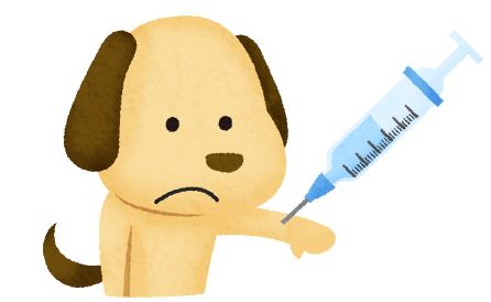 子犬ワクチン