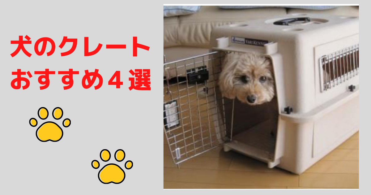 犬の クレート おすすめ4選 飛行機にも乗れる 正しい選び方 87いぬ倶楽部