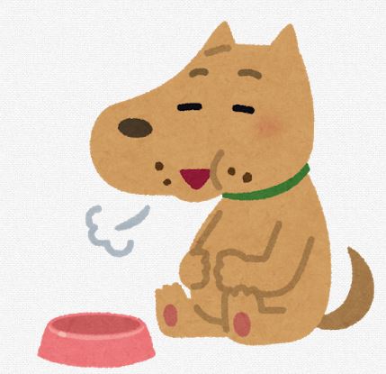 犬のご飯のしつけ 食べない 吠える に効く 4つの対処法 87犬いぬブログ