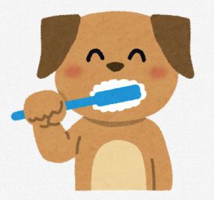犬のおすすめ歯磨き粉と小型犬の歯ブラシ