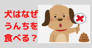 犬が うんちを食べる