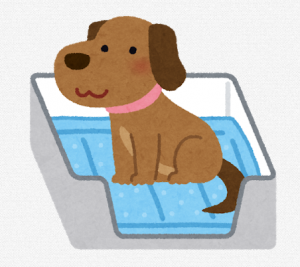 食糞は犬のトイレの場所と食べる場所を放す