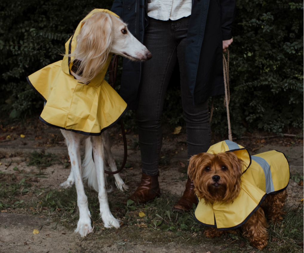 犬のレインコート人気３選 モンベル マンダリン フルッタ 87いぬ倶楽部