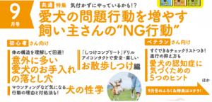 21年 いぬのきもち 限定付録 柴犬抱き枕 の申し込み方法 87いぬ倶楽部