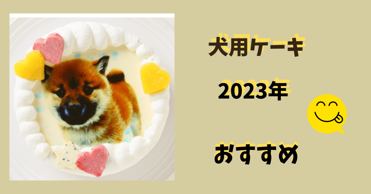 犬用ケーキおすすめ2023