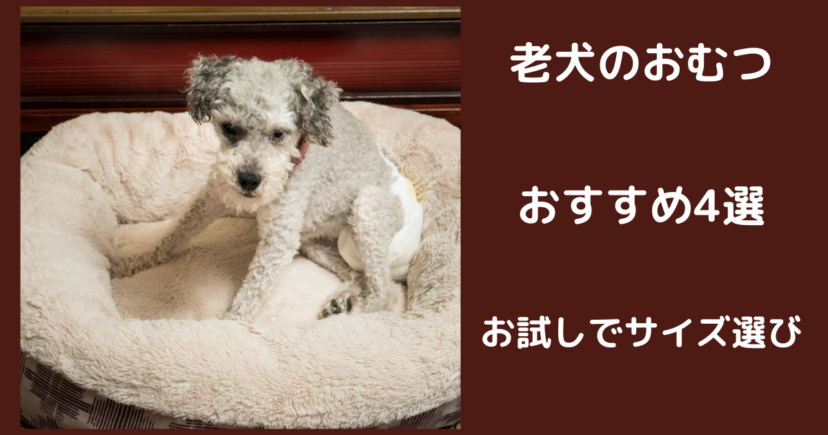 犬の7ヶ月頃は【反抗期】吠える、食べない、問題行動の理由としつけ 87いぬ倶楽部 犬の7ヶ月頃は【反抗期】吠える、食べない、問題行動の理由としつけ 87いぬ倶楽部
