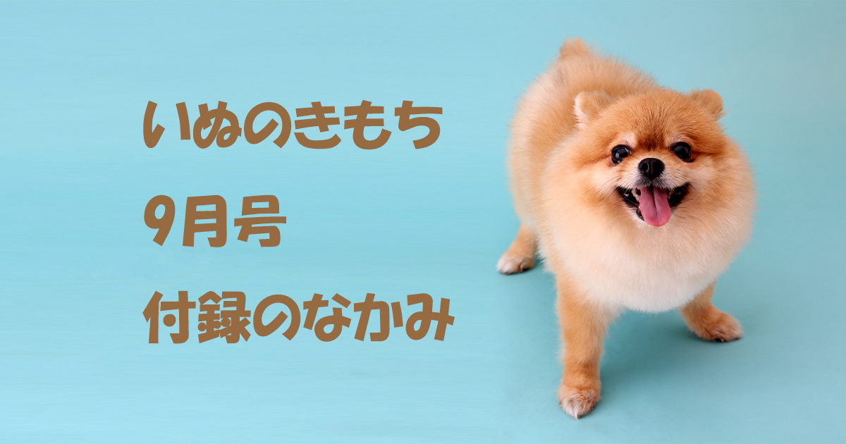 雑誌【いぬのきもち9月号】付録！ペットボトルホルダー、歯ブラシと