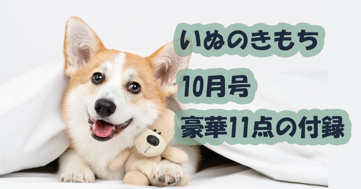 いぬのきもち10月号