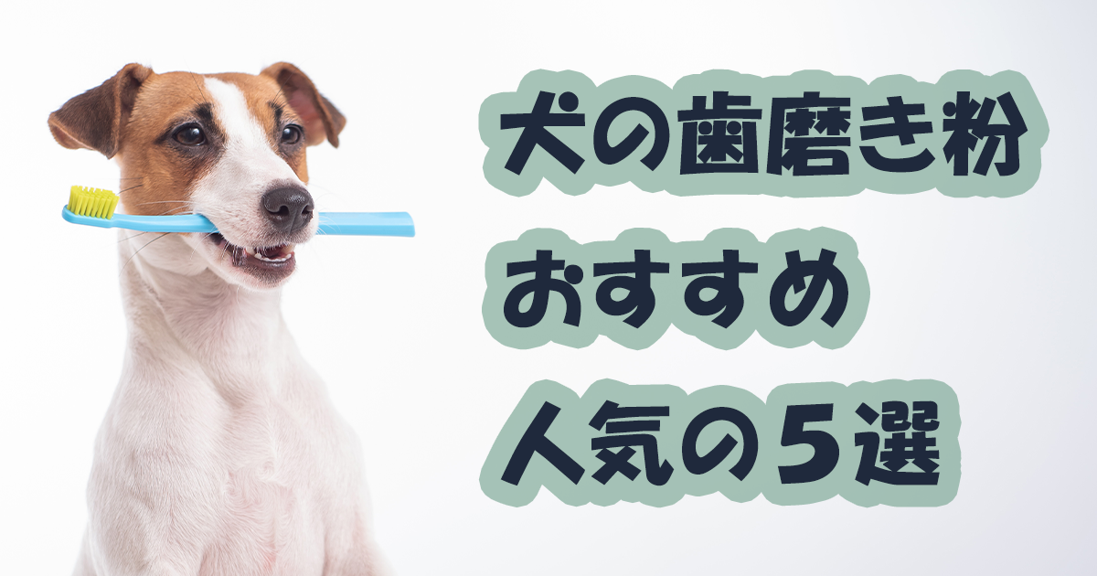犬の歯磨き人気の5選