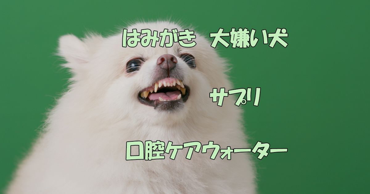 はみがき大嫌い犬