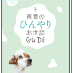 真夏のひんやりお世話ガイド
