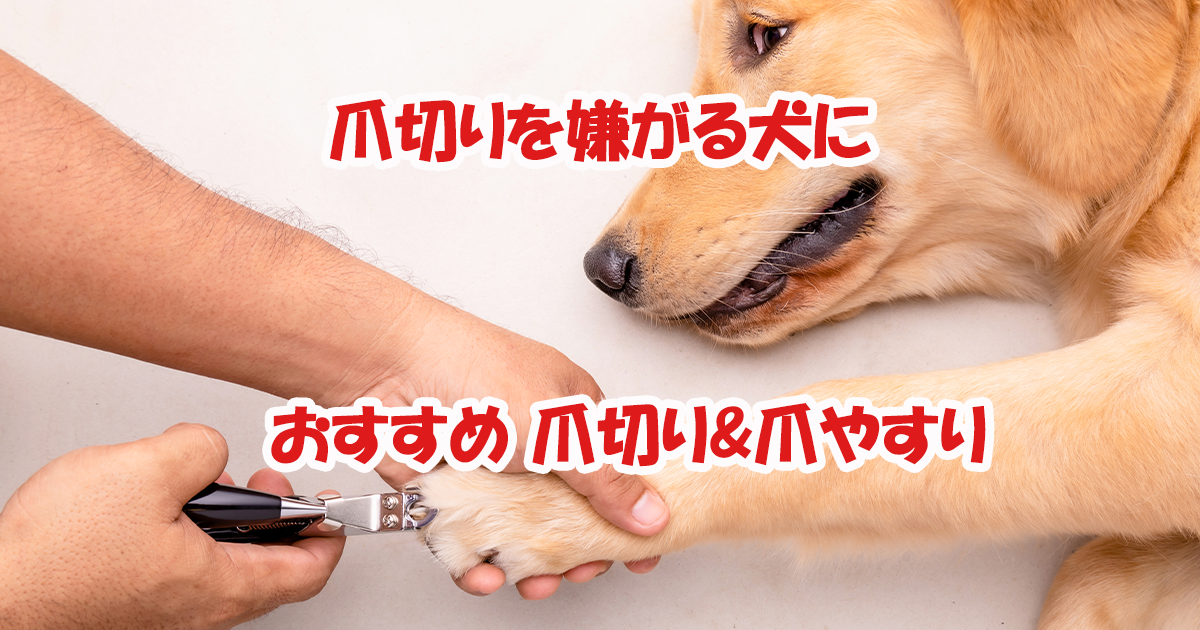 爪切り嫌い犬