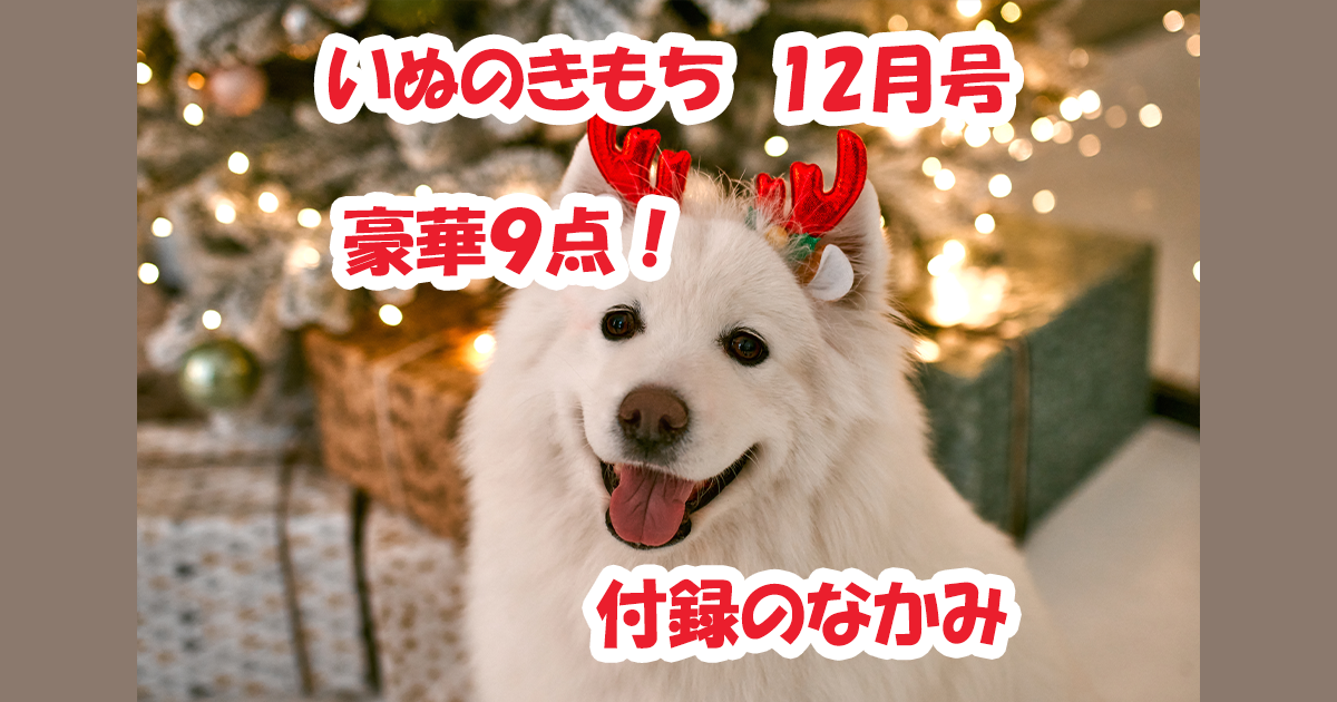 もち12月号付録のなかみ