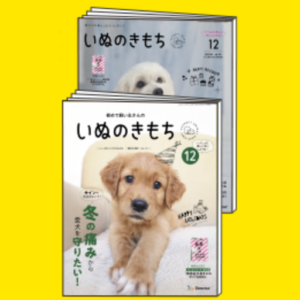 いぬのきもち12月号雑誌付録