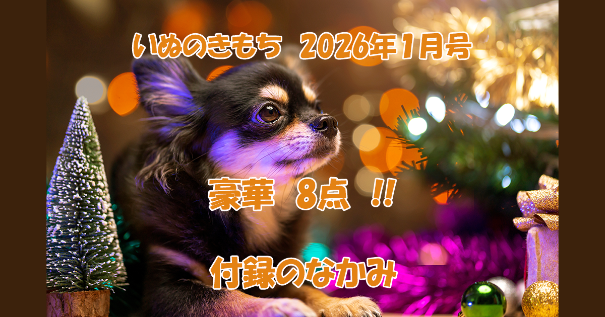いぬのきもち2026年1月号付録のなかみ