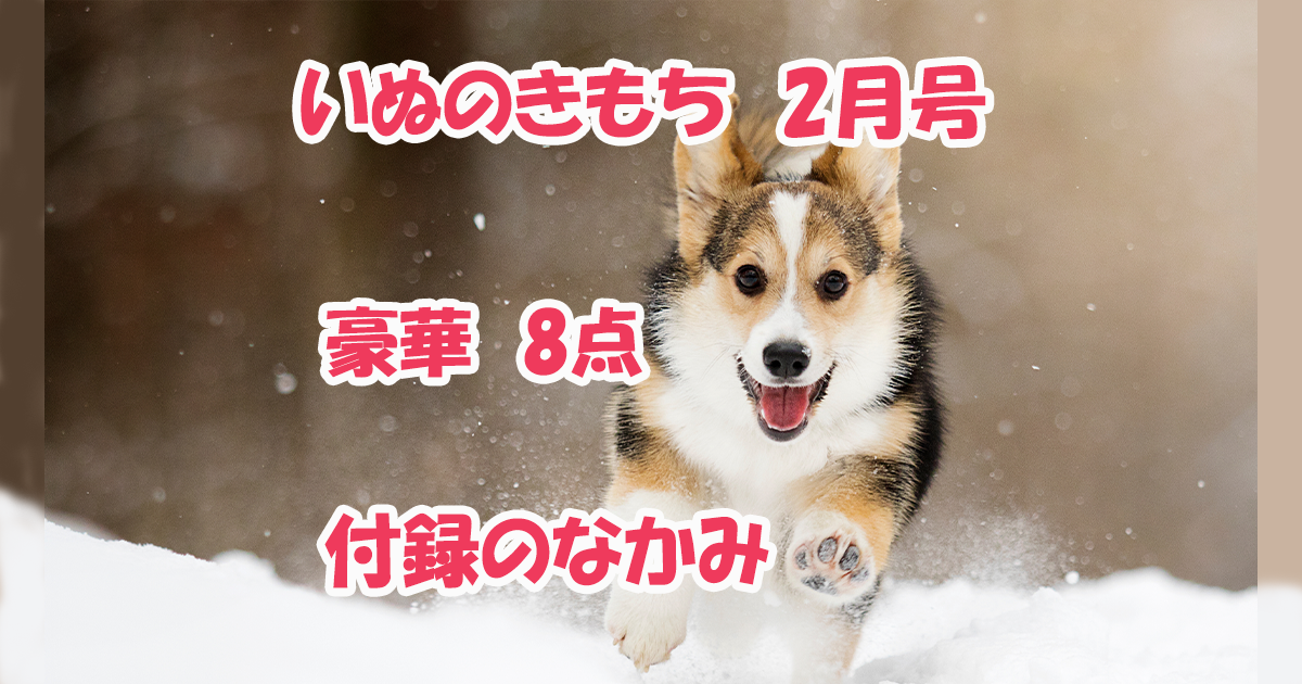 いぬのきもち2026年2月号付録のなかみ